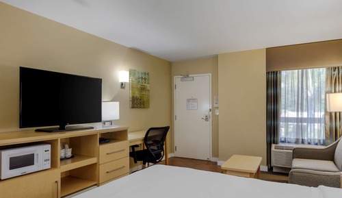 Habitación estándar, 1 cama de matrimonio grande, frigorífico y microondas, vistas a la montaña