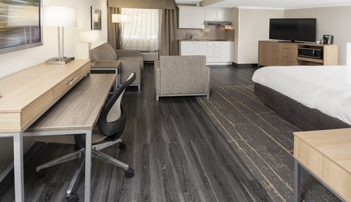 Suite, 1 cama de matrimonio grande