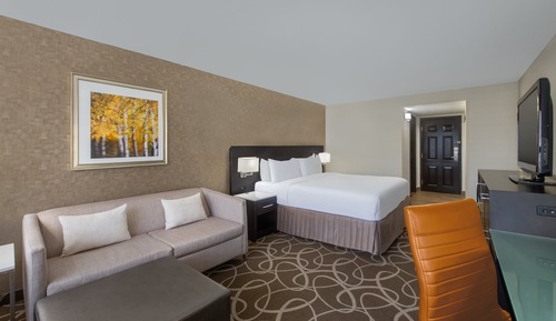 Habitación Premium, 1 cama de matrimonio grande