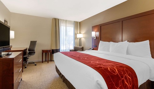 Habitación estándar, 1 cama de matrimonio grande, no fumadores