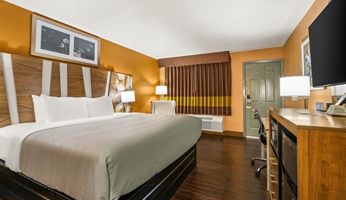 Habitación estándar, 1 cama de matrimonio grande, no fumadores