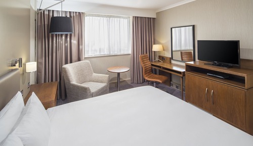 Habitación estándar, 1 cama de matrimonio, vistas al río