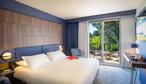 Privilege, Habitación, 1 cama doble con sofá cama, balcón, vistas al jardín