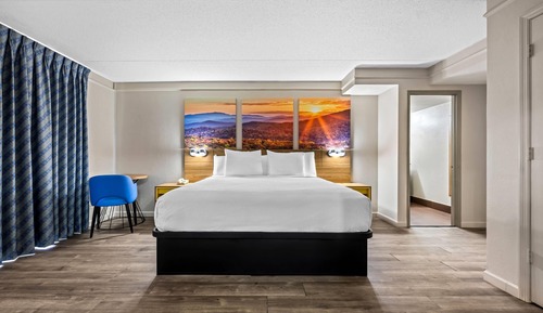 Mini-Suite,1 King Bed, Smoking