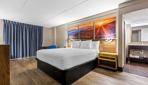 Habitación estándar, 1 cama de matrimonio grande