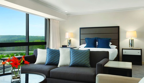 Suite, 1 cama de matrimonio grande (Hyatt)