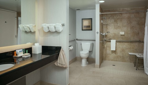 Habitación ejecutiva, 1 cama doble (Mobility & Hearing, Shower)