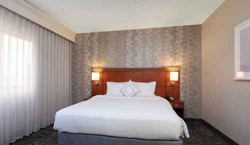 Suite, 1 cama de matrimonio grande con sofá cama