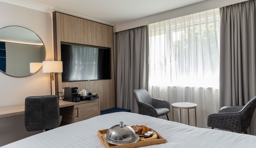 Habitación ejecutiva, 1 cama de matrimonio grande