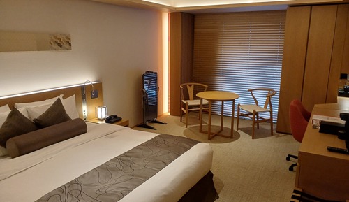 Habitación estándar, 1 cama de matrimonio grande (Top Floor)
