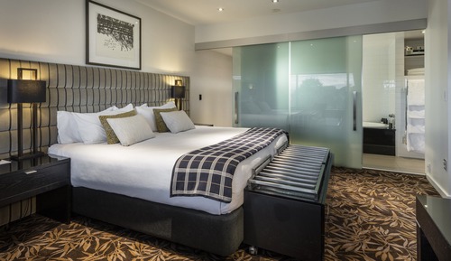 Suite, vistas al parque