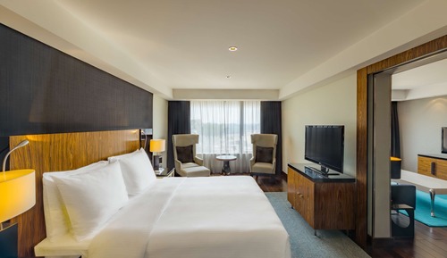Suite (Lounge Access)