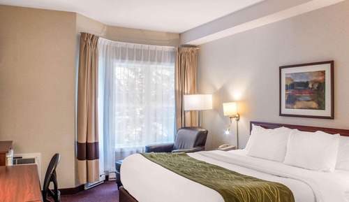 Habitación estándar, 1 cama de matrimonio grande, no fumadores