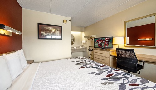 Habitación estándar, 1 cama de matrimonio grande, no fumadores