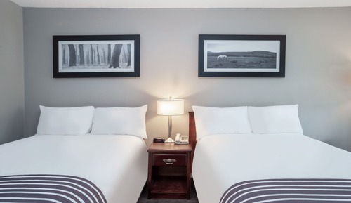 Habitación estándar con 2 camas individuales, 2 camas dobles