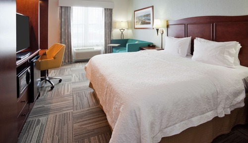 Suite junior, 1 cama de matrimonio grande, no fumadores, vistas al lago