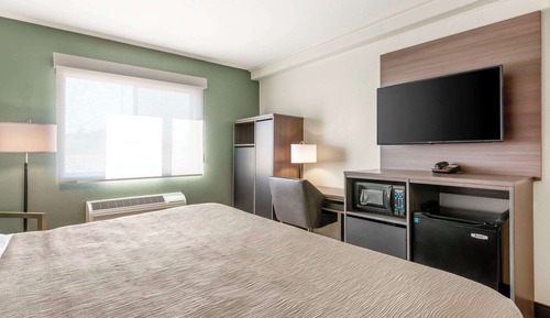 Habitación estándar, 1 cama de matrimonio grande, no fumadores