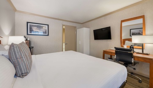 Habitación estándar, 1 cama de matrimonio grande, accesible para personas con discapacidad