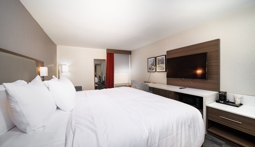 Habitación, 1 cama de matrimonio, no fumadores (Mobility Accessible w/ Roll in Shower)