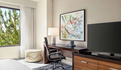Suite Deluxe, 1 habitación