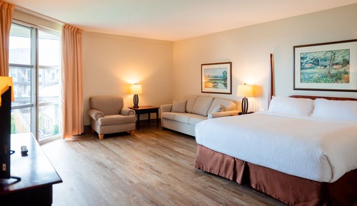 Habitación individual estándar, 1 cama de matrimonio grande con sofá cama
