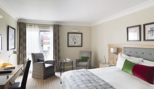 Habitación Deluxe doble, vistas al río (2 Pax)