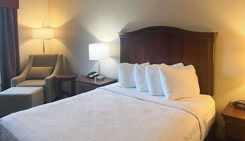 Habitación Deluxe, 1 cama de matrimonio, no fumadores, frigorífico y microondas