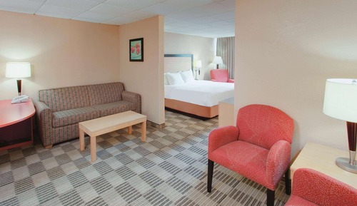 Suite Deluxe, 1 cama de matrimonio grande, no fumadores