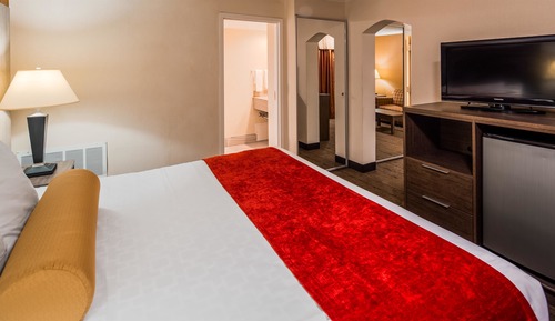 Habitación estándar, 1 cama de matrimonio grande, no fumadores, frigorífico