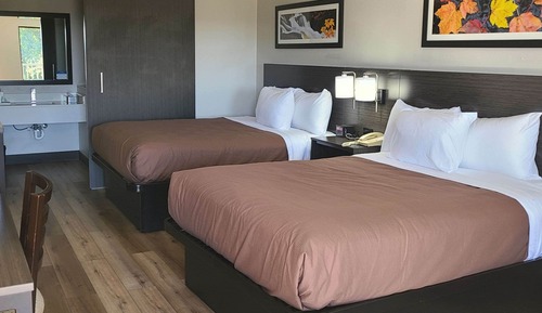 Habitación estándar, 2 camas dobles, no fumadores