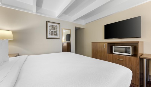 Habitación estándar, 1 cama de matrimonio grande, no fumadores, frigorífico y microondas