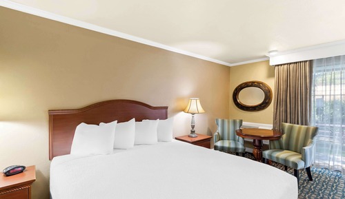 Habitación estándar, 1 cama de matrimonio grande, no fumadores (Pet Friendly)