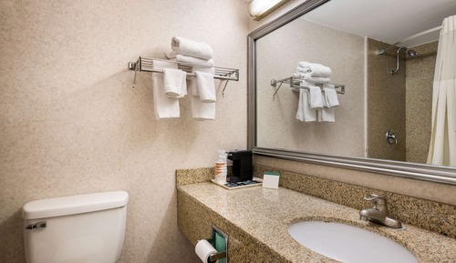 Habitación estándar, 1 cama de matrimonio grande, no fumadores