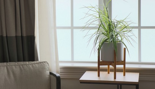 Habitación clásica, 1 cama de matrimonio grande