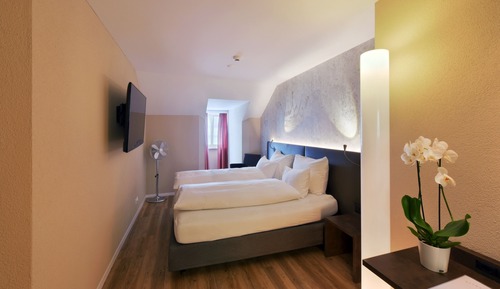 Habitación estándar con 2 camas individuales