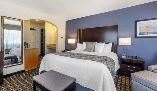 Habitación estándar, 1 cama de matrimonio grande, no fumadores, frigorífico y microondas