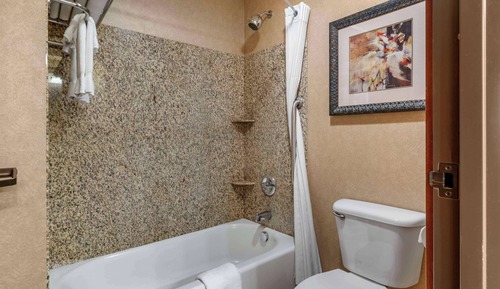 Habitación estándar, 2 camas de matrimonio, no fumadores (Larger Room Wet Bar)