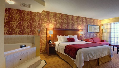 Habitación Premium, 1 cama de matrimonio grande, no fumadores