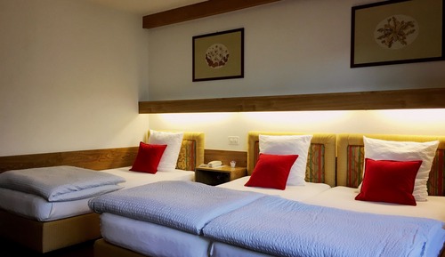 Habitación con 1 cama doble o 2 individuales