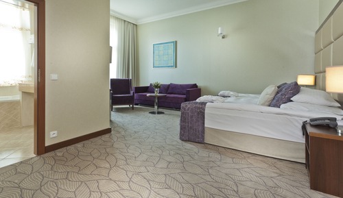 Boutique Suite (Free SPA entrance)