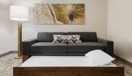 Suite estudio estándar, 1 cama de matrimonio grande con sofá cama (Mobility/Hearing Accessible, Tub)
