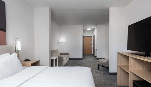Habitación, 1 cama de matrimonio grande con sofá cama
