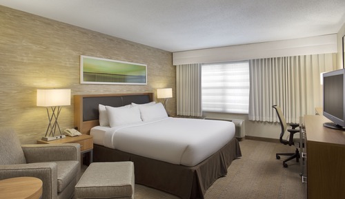 Habitación estándar, 1 cama de matrimonio grande