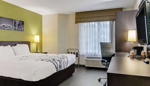 Habitación estándar, 1 cama de matrimonio grande, no fumadores