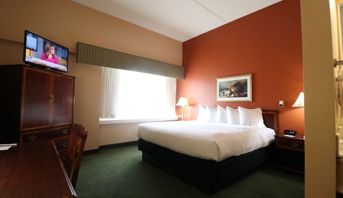 Habitación estándar, 1 cama de matrimonio grande