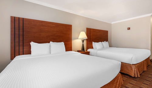 Habitación estándar, varias camas, no fumadores, frigorífico y microondas