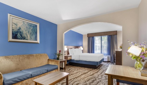 Suite, 1 cama de matrimonio grande con sofá cama, no fumadores, bañera de hidromasaje (with Sofabed)