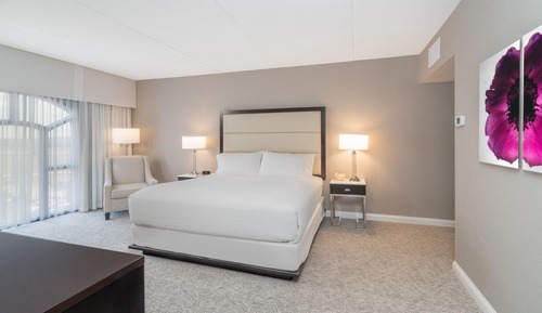 Suite, 1 habitación