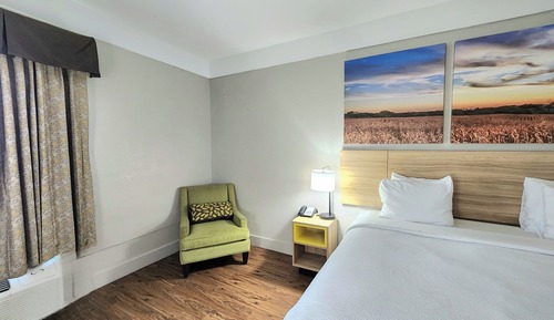 Suite, 1 cama de matrimonio, frigorífico y microondas