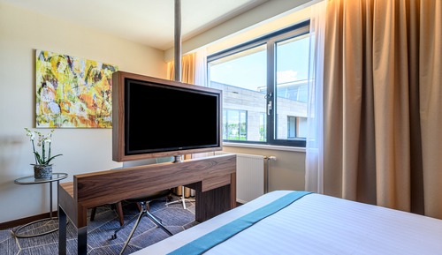 Habitación Premium, 1 cama de matrimonio grande